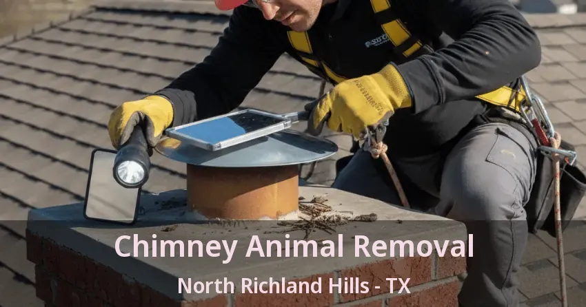 Chimney Animal Removal North Richland Hills - TX
