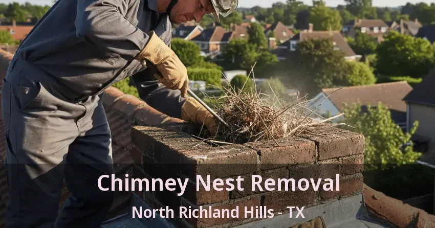 Chimney Nest Removal North Richland Hills - TX