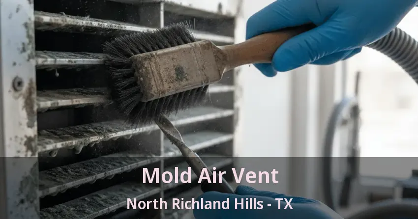Mold Air Vent North Richland Hills - TX