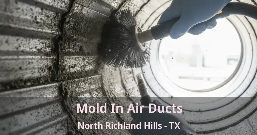 Mold In Air Ducts North Richland Hills - TX