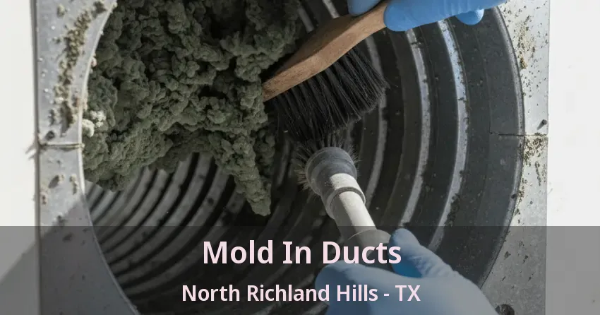 Mold In Ducts North Richland Hills - TX
